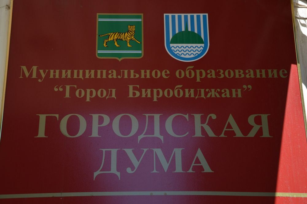 Кандидаты в городскую Думу Биробиджана потратили на агитацию чуть меньше 50 тыс. рублей