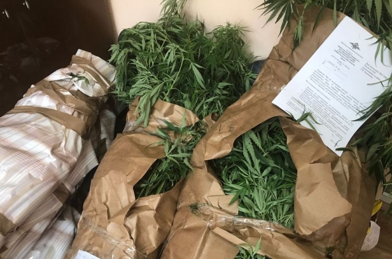 26 снопов дурман-травы изъяли у наркомана полицейские Облученского района