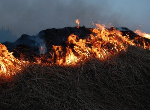 ЕАО вновь оказалась не готова к пожароопасному сезону — Рослесхоз