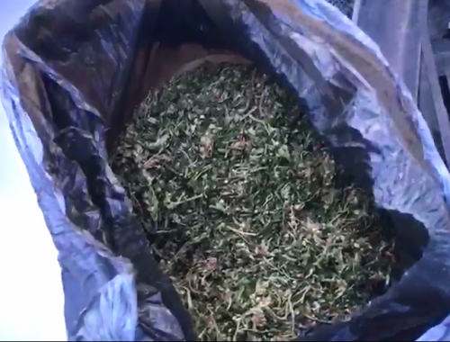 За покупку марихуаны биробиджанец отправится под суд
