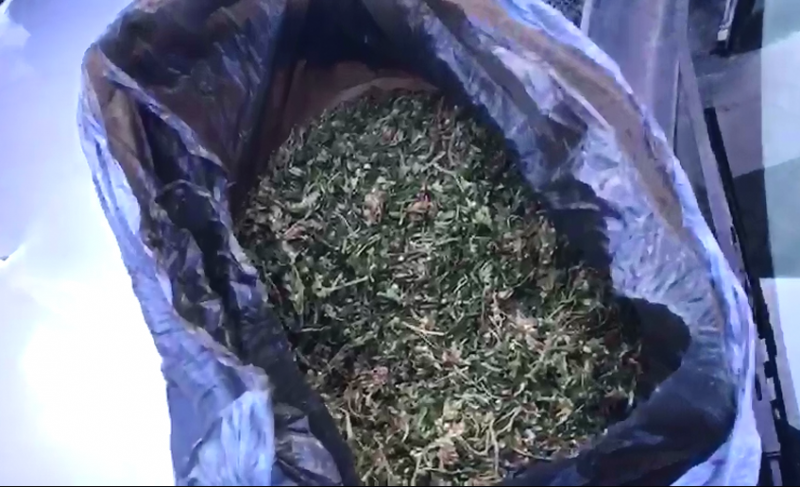 За покупку марихуаны биробиджанец отправится под суд