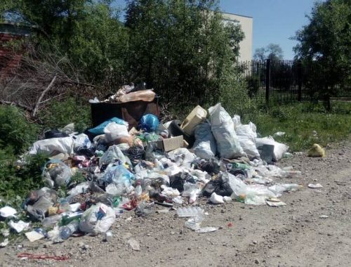 ЕАО вошла в число регионов-аутсайдеров по мусорной реформе
