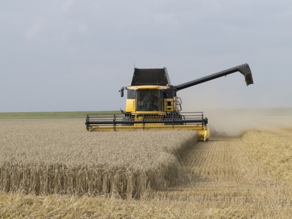 Россия собрала 150 миллионов тонн зерна