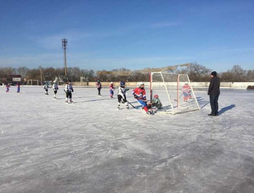 Соревнования по хоккею с мячом среди детей прошли в Биробиджане