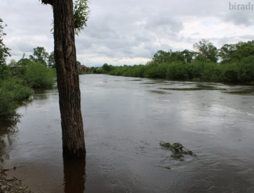 МЧС: уровень воды в реках ЕАО продолжает расти