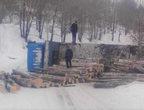 «Санитары нашего леса»: жители Хинганска возмущены разграблением российской тайги китайскими лесорубами