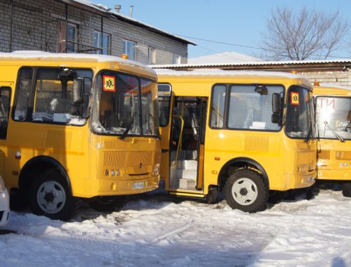 Дюжина новых школьных автобусов поступила в ЕАО