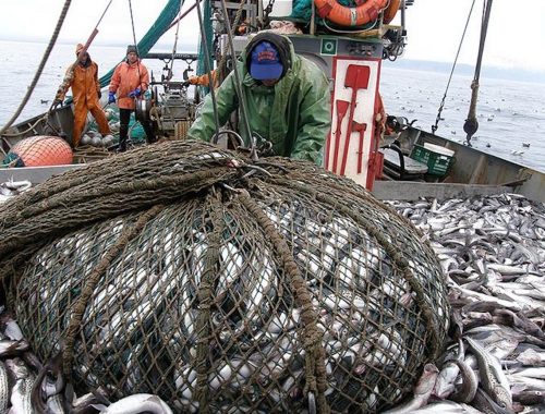 В России рыбопромышленные суда «застряли» на стапелях
