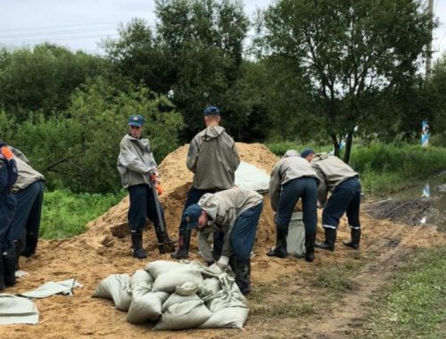 К пику сезонного паводка готовят населенные пункты ЕАО