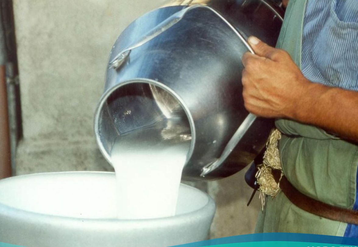 ЕАО за 12 лет продемонстрировала самое большое сокращение надоев молока в ДФО