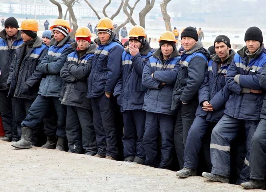 В России 6,6 млн трудовых мигрантов