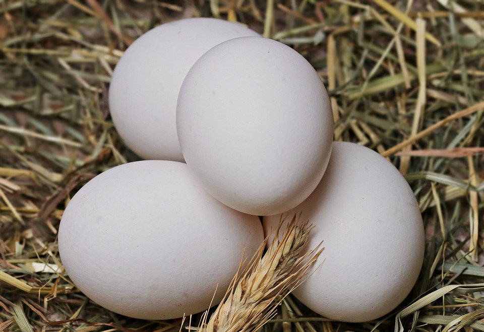 На 15% подорожали куриные яйца в ноябре