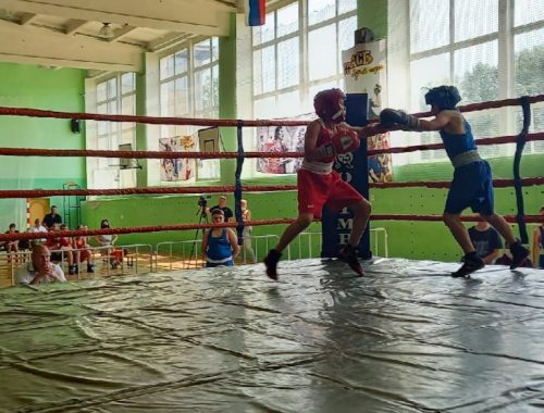 57 юных спортсменов приняли участие в соревнованиях по боксу в ЕАО