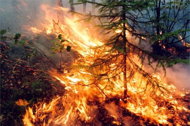 В России продолжают полыхать леса