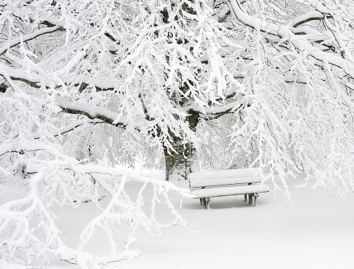 Сильный снегопад оставил без света 20 населённых пунктов ЕАО