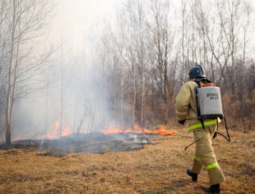 В России нет даже своего пластика для касок пожарных — МЧС