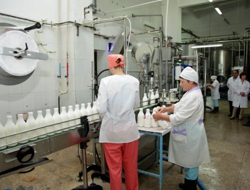 «Где наши деньги?»: бывшие работники «скисшего» молокозавода в ЕАО 8 месяцев добиваются выплаты долгов по зарплате