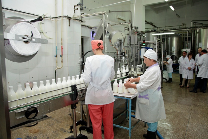 Работникам «скисшего» молокозавода в ЕАО до сих пор не выплатили зарплаты