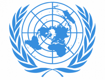 11 стран в ООН поддержали Россию