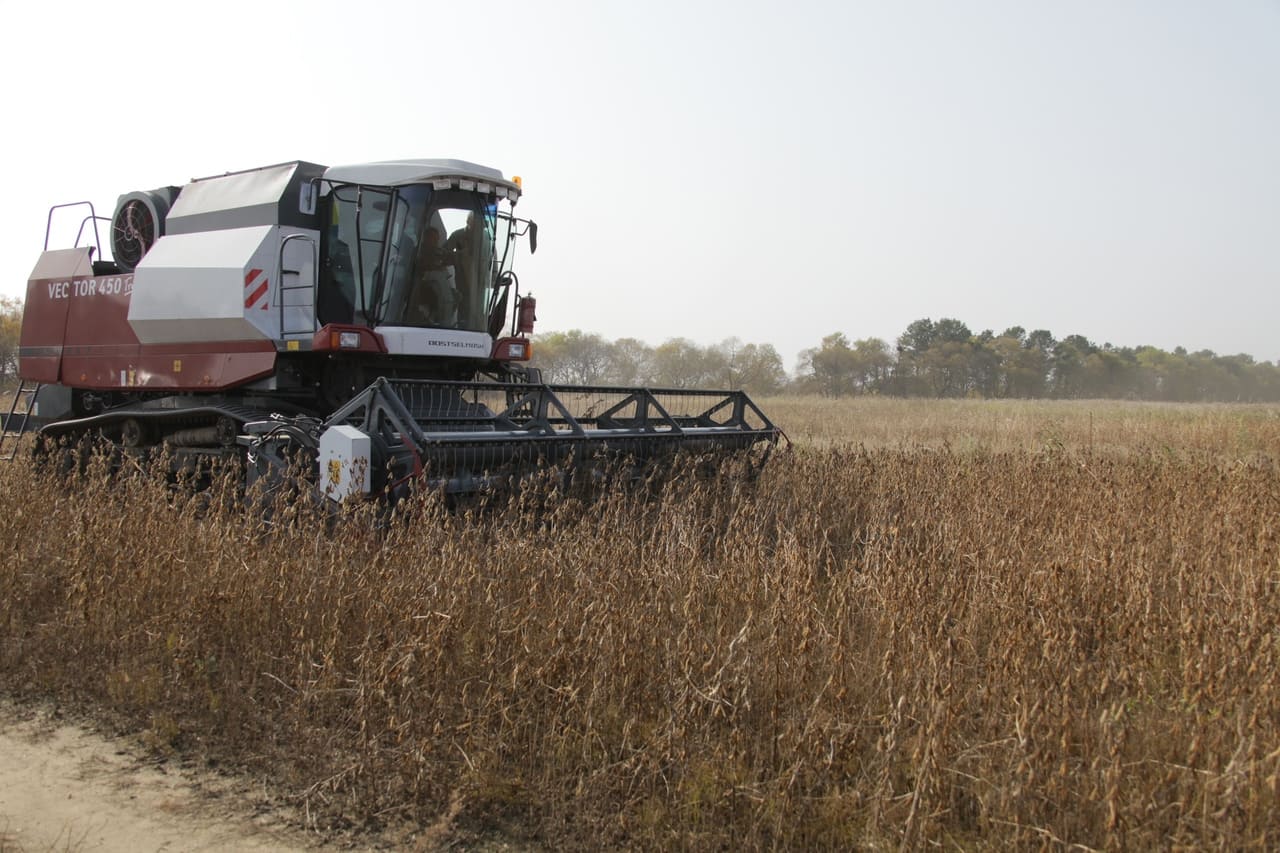 Урожайность ранних зерновых упала по итогам уборочной кампании в ЕАО