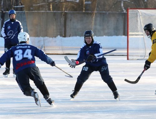 Кубок губернатора ЕАО по хоккею с мячом увезли в Хабаровск