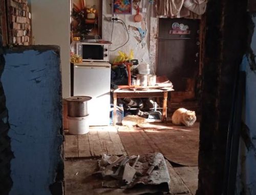 «На улице — минус, а мы — без печки»: семья погорельцев в Биробиджане ведет борьбу за выживание