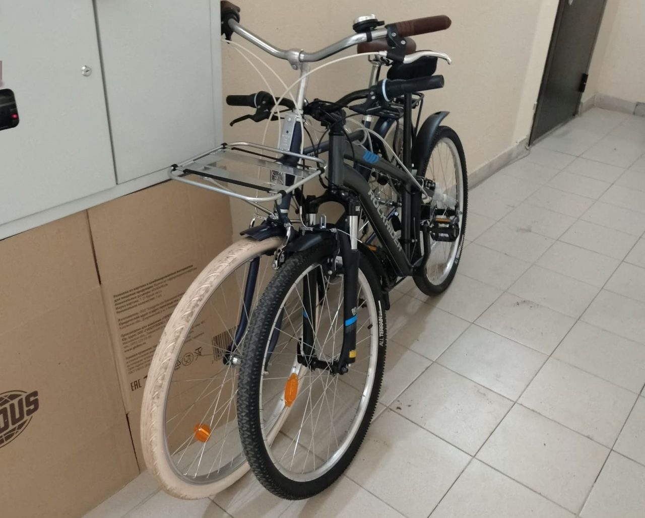 «Побухали на два срока»: в ЕАО осудили приятелей за кражу велосипедов