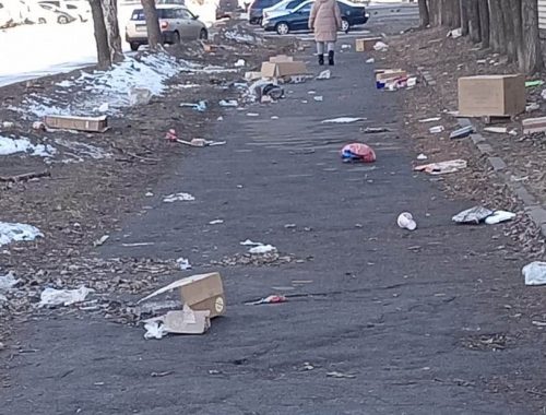 Порывистый ветер разносит пакеты и коробки по Биробиджану — весь город в мусоре