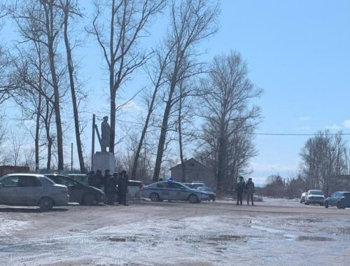 Полиция и Росгвардия в Николаевке: местным жителям запретили снимать на улице видеоролик против строительства крематория