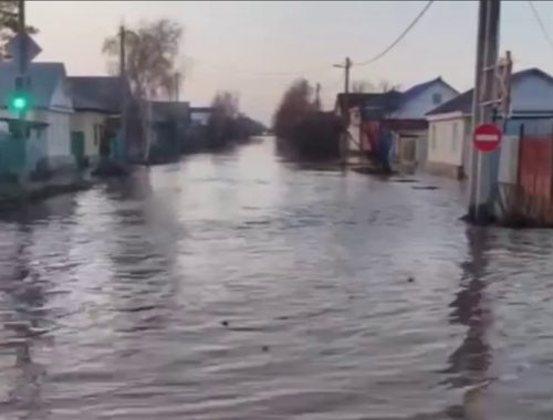 Из-за паводков в России подтопило 15,8 тыс. домов