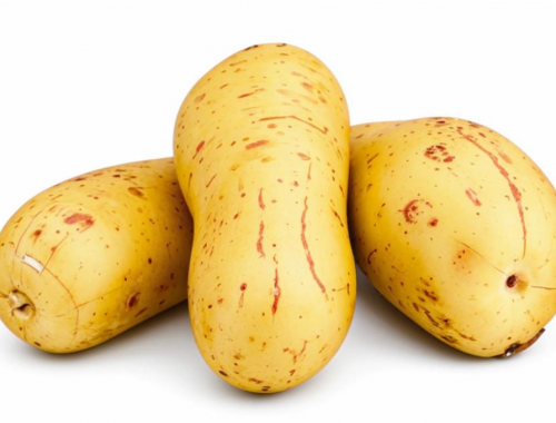 В РФ снизились цены на картофель