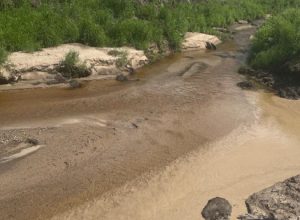 1,8 млн рублей возместило золотодобывающее предприятие за загрязнение ручья Виктория